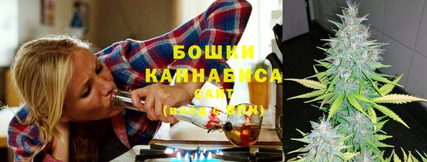крисы Белоозёрский