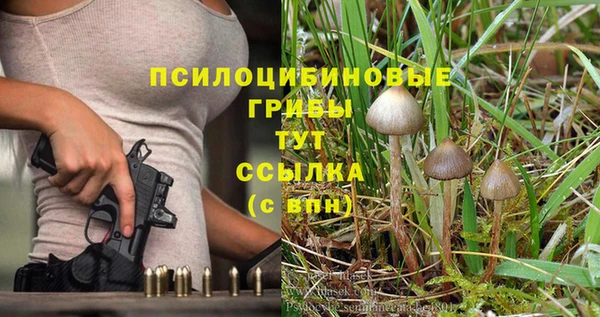 прущая мука Белокуриха