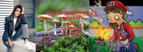 крисы Белоозёрский