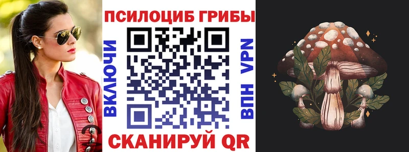Галлюциногенные грибы мухоморы  купить наркоту  Зверево 